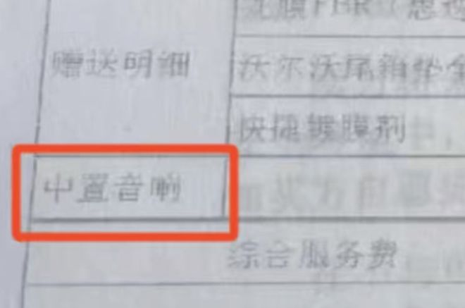 柱”：50万豪车配山寨音响 合同玩文字游戏龙8国际龙8网站沃尔沃多地4S店疑“偷梁换(图8)